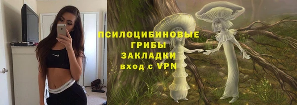 гидра Арсеньев