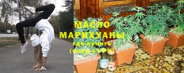 гидра Арсеньев
