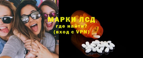 гидра Арсеньев