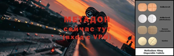 гидра Арсеньев