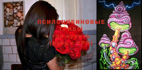 гидра Арсеньев