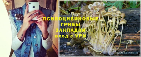 гидра Арсеньев