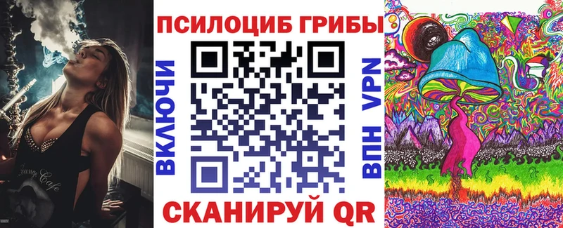 Псилоцибиновые грибы мицелий  как найти закладки  Свирск 